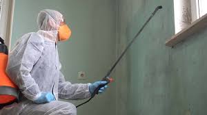 Best Mold Prevention Services  in Wooster, OH